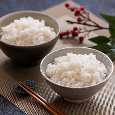 【令和6年産】はれわたり 精米　5kg×2袋