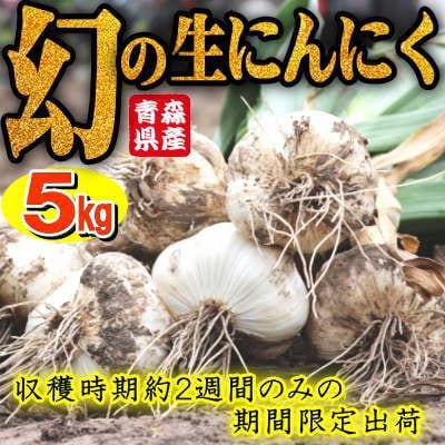 青森県産 厳選 幻の生にんにく 5kg 収穫後2週間のみ限定出荷! サイズ混合(M～2Lサイズ)