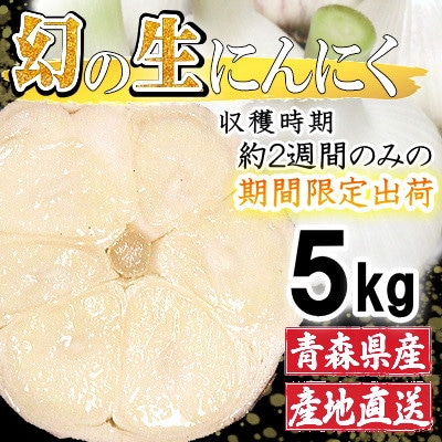 青森県産 厳選 幻の生にんにく 5kg 収穫後2週間のみ限定出荷! サイズ混合(M～2Lサイズ)
