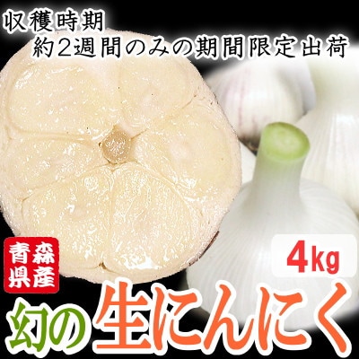 青森県産 厳選 幻の生にんにく 4kg 収穫後2週間のみ限定出荷! サイズ混合(M～2Lサイズ)