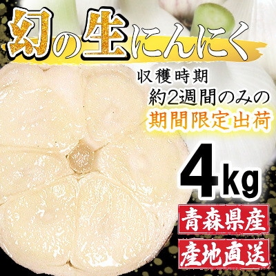 青森県産 厳選 幻の生にんにく 4kg 収穫後2週間のみ限定出荷! サイズ混合(M～2Lサイズ)