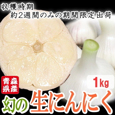 青森県産 厳選 幻の生にんにく 1kg 収穫後2週間のみ限定出荷! サイズ混合(M～2Lサイズ)