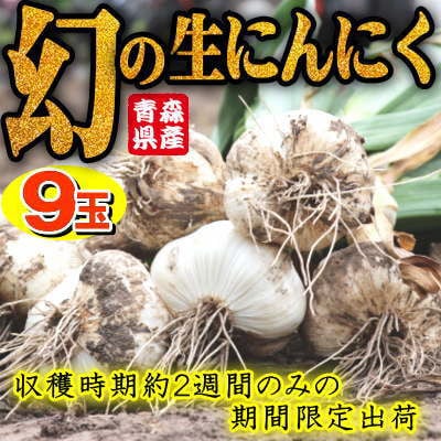 青森県産 厳選 幻の生にんにく 9玉 収穫後2週間のみ限定出荷! サイズ混合(M～2Lサイズ)