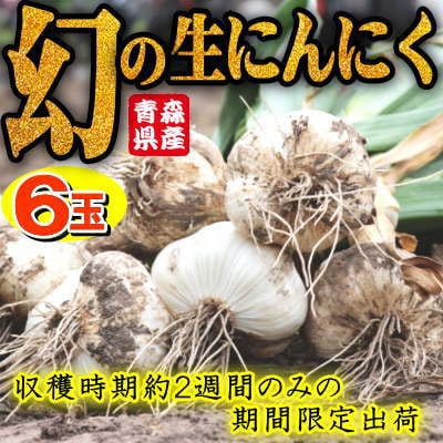 青森県産 厳選 幻の生にんにく 6玉 収穫後2週間のみ限定出荷! サイズ混合(M～2Lサイズ)