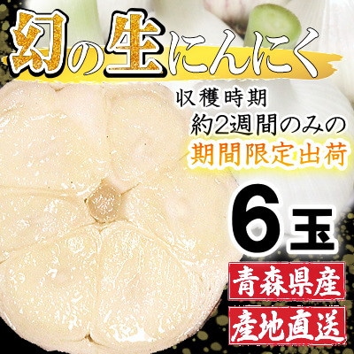 青森県産 厳選 幻の生にんにく 6玉 収穫後2週間のみ限定出荷! サイズ混合(M～2Lサイズ)