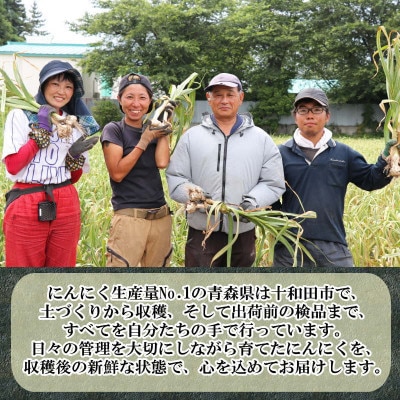 青森県産 厳選 幻の生にんにく 6玉 収穫後2週間のみ限定出荷! サイズ混合(M～2Lサイズ)
