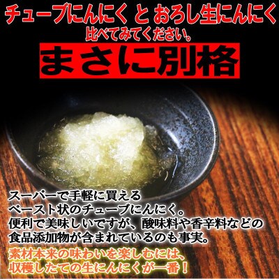 青森県産 厳選 幻の生にんにく 6玉 収穫後2週間のみ限定出荷! サイズ混合(M～2Lサイズ)