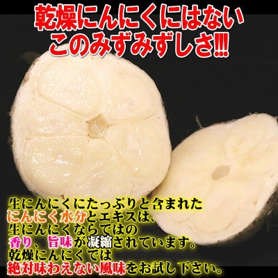 青森県産 厳選 幻の生にんにく 5玉 収穫後2週間のみ限定出荷! サイズ混合(M～2Lサイズ)