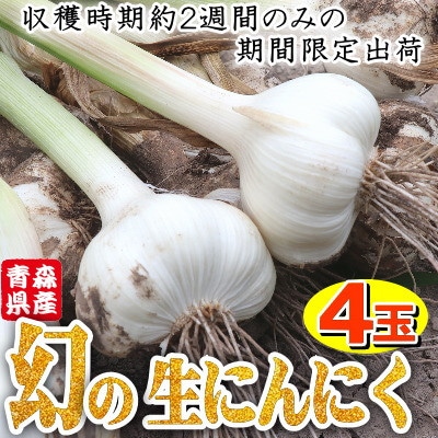青森県産 厳選 幻の生にんにく 4玉 収穫後2週間のみ限定出荷! サイズ混合(M～2Lサイズ)