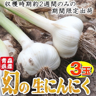 青森県産 厳選 幻の生にんにく 3玉 収穫後2週間のみ限定出荷! サイズ混合(M～2Lサイズ)