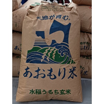 ☆ 令和3年 青森県産 まっしぐら 玄米〈30kg〉 | netizenbd.com