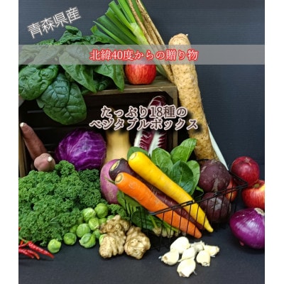 北緯40度からの贈り物　十和田のとれたて野菜のベジタブルボックス(18種入)