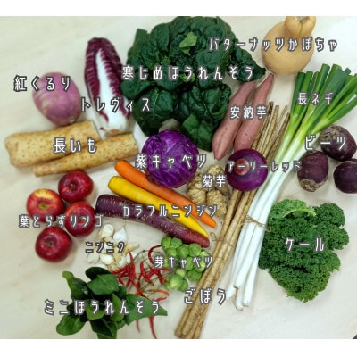 北緯40度からの贈り物　十和田のとれたて野菜のベジタブルボックス(18種入)