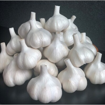 【先行受付】生産量日本一の青森県十和田市のにんにく大玉1kg【令和4年7月発送開始】