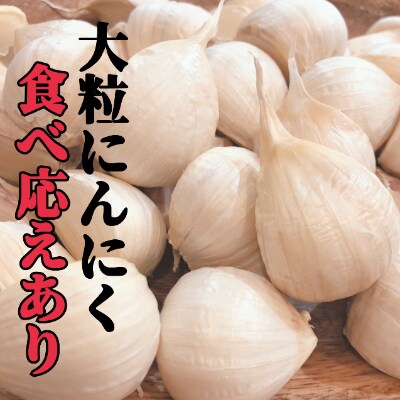 【先行受付】生産量日本一の青森県十和田市のにんにく大玉1kg【令和4年7月発送開始】