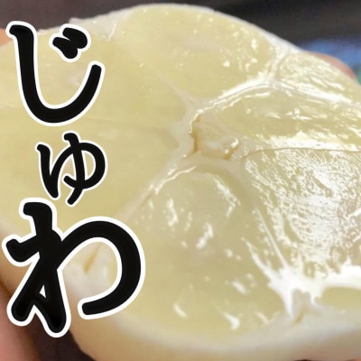 【月1000箱即完売】青森産「にんにくの王様白玉王」生にんにく5玉【令和7年6月より順次発送】