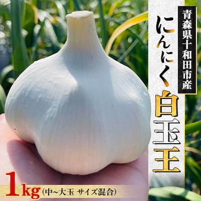 【テレビ紹介】青森にんにく白玉王1kg (産地直送・農家レシピ付き)