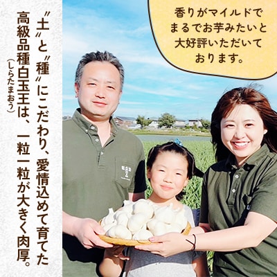 【テレビ紹介】青森にんにく白玉王1kg (産地直送・農家レシピ付き)