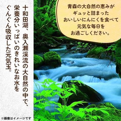 【テレビ紹介】青森にんにく白玉王1kg (産地直送・農家レシピ付き)