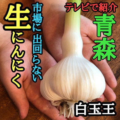 青森生にんにく20玉★年に1度、収穫時期しか食べられない逸品です★