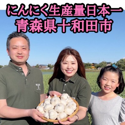 青森生にんにく20玉★年に1度、収穫時期しか食べられない逸品です★