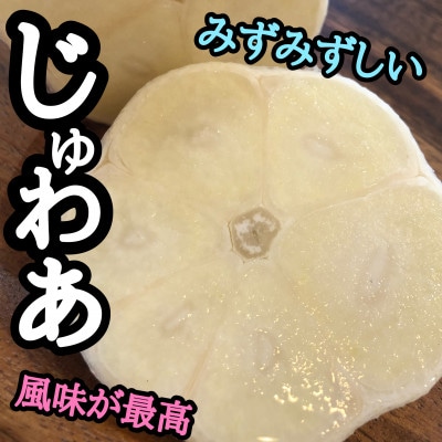 青森生にんにく20玉★年に1度、収穫時期しか食べられない逸品です★