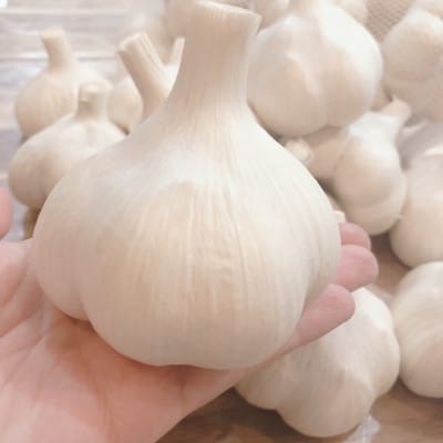 【さとふる限定】【テレビ紹介】日本一の産地・青森十和田 王様にんにく「白玉王」バラ 300g