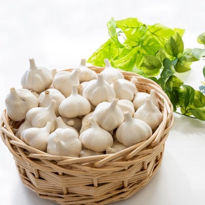 【さとふる限定】【テレビ紹介】日本一の産地・青森十和田 王様にんにく「白玉王」中小玉 300g