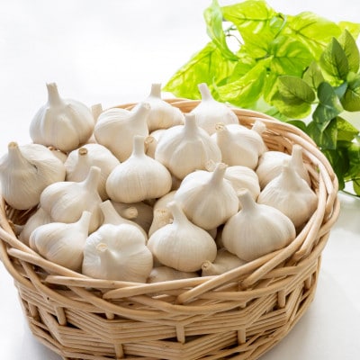 【さとふる限定】【テレビ紹介】日本一の産地・青森十和田 王様にんにく「白玉王」中小玉 500g