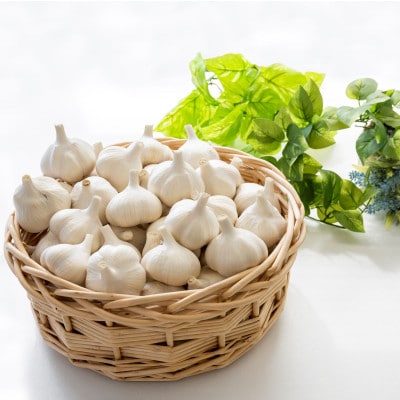 【さとふる限定】【テレビ紹介】日本一の産地・青森十和田 王様にんにく「白玉王」中小玉 800g