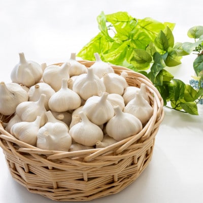 【さとふる限定】【テレビ紹介】日本一の産地・青森十和田 王様にんにく「白玉王」中小玉 1kg