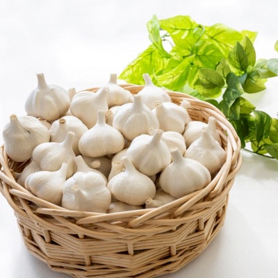 【さとふる限定】【テレビ紹介】日本一の産地・青森十和田 王様にんにく「白玉王」中小玉 1.3kg