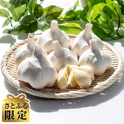 【さとふる限定】【テレビ紹介】日本一の産地・青森十和田 王様にんにく「白玉王」中小玉 2kg