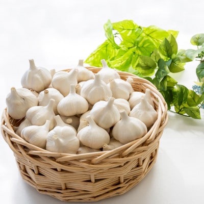 【さとふる限定】【テレビ紹介】日本一の産地・青森十和田 王様にんにく「白玉王」中小玉 2kg