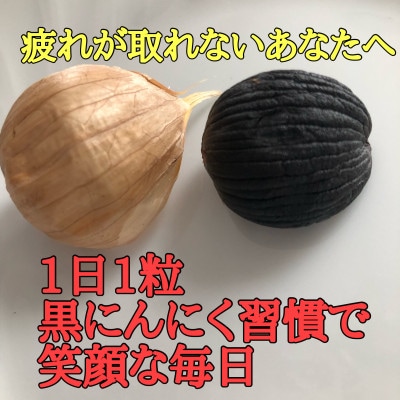 【テレビで紹介】青森・熟成とろあま黒にんにく 250g(糖度38度・高級品種白玉王使用)