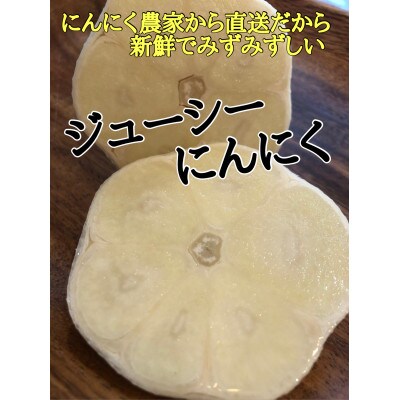 【テレビ紹介】青森 幻の生にんにく 8玉|農家直送・収穫期だけの限定品
