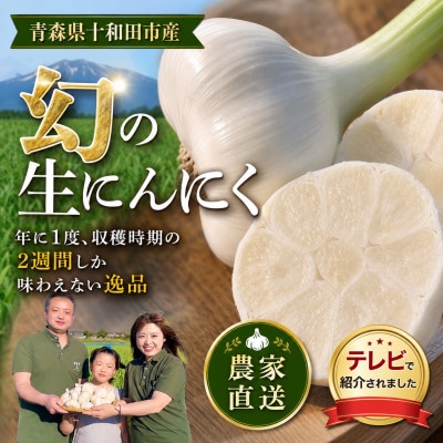 【テレビ紹介】青森 幻の生にんにく 5玉|農家直送・収穫期だけの限定品