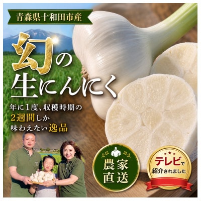 【テレビ紹介】青森 幻の生にんにく 2玉(大中玉・サイズ混合)|農家直送・収穫期だけの限定品