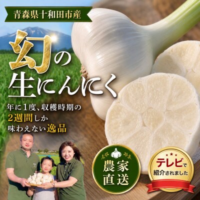 【テレビ紹介】青森 幻の生にんにく 1kg(大中玉・サイズ混合)|農家直送・収穫期だけの限定品