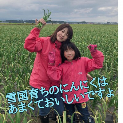 【テレビ紹介】青森 幻の生にんにく 1kg(大中玉・サイズ混合)|農家直送・収穫期だけの限定品