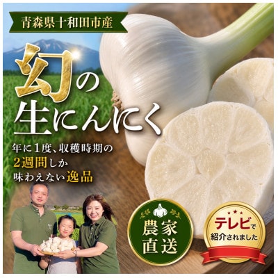 【テレビ紹介】青森 幻の生にんにく30玉|農家直送・収穫期だけの限定品