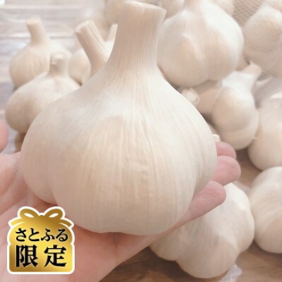 【さとふる限定】青森にんにく 農家直送 2Lサイズ(1kg) 高級品種白玉王