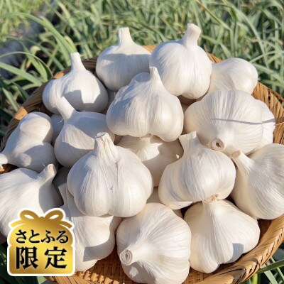 【さとふる限定】青森にんにく 農家直送 中小玉(1kg) 高級品種白玉王