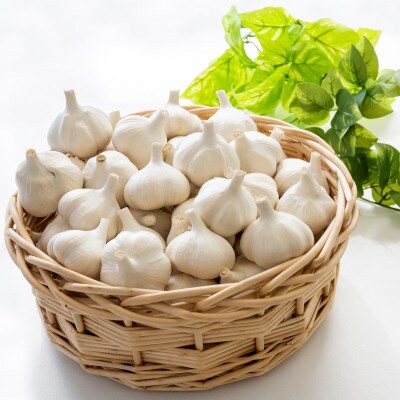 【さとふる限定】青森にんにく 農家直送 2Lサイズ(500g) 高級品種白玉王