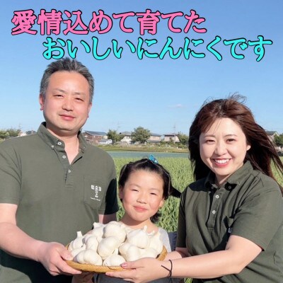【さとふる限定】青森にんにく 農家直送 2Lサイズ(500g) 高級品種白玉王