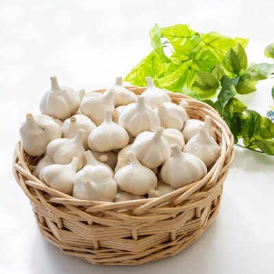 【さとふる限定】青森にんにく 農家直送 Lサイズ(500g) 高級品種白玉王