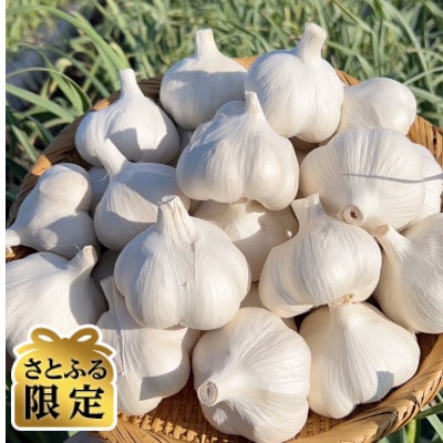 【さとふる限定】青森にんにく 農家直送 中小玉(500g) 高級品種白玉王