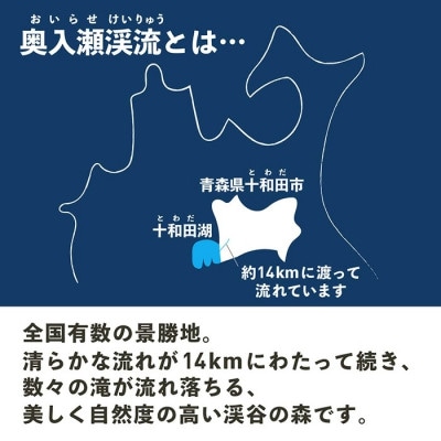 奥入瀬ビール(クラフトビール)飲み比べ4本セット 4種(330ml)各1本