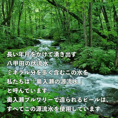 奥入瀬ビール(クラフトビール)ランダム飲み比べ24本セット