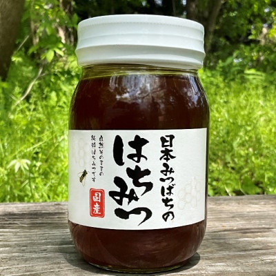 【青森県十和田市産】日本みつばち蜂蜜550g